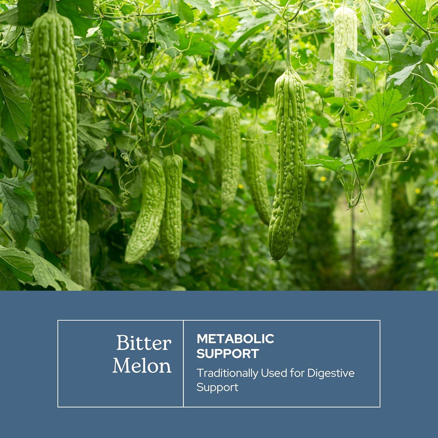 Melón Amargo Crudo Liofilizado Eclectic Instituto 90 Cápsulas