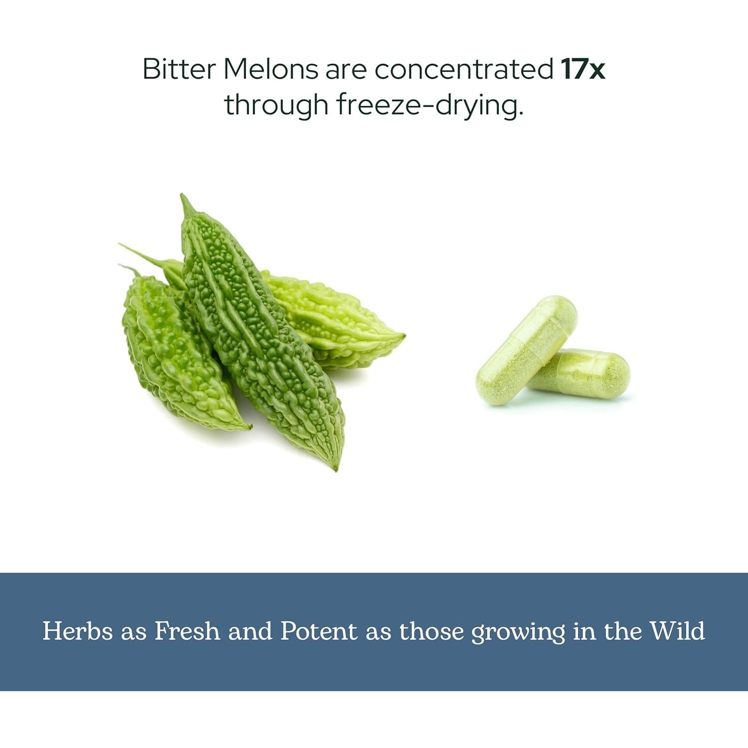 Melón Amargo Crudo Liofilizado Eclectic Instituto 90 Cápsulas