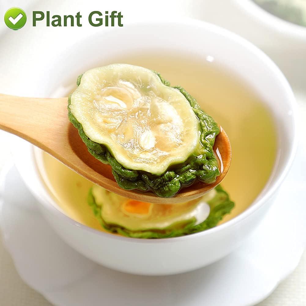 Fruta de Melón Amargo Greenlike 500g - Momordica charantia