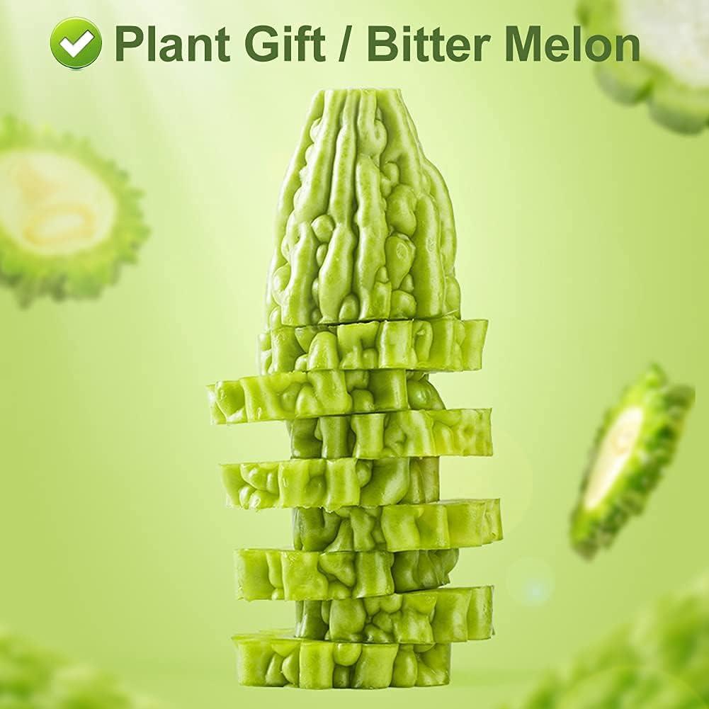 Fruta de Melón Amargo Greenlike 500g - Momordica charantia