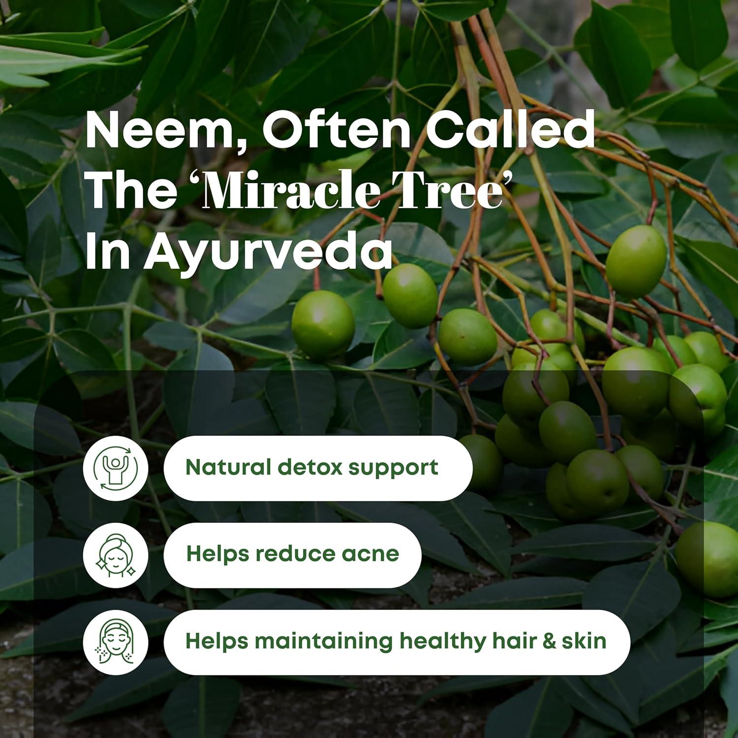 Polvo de Hojas de Neem Natural H&C 227 Gr para Piel y Cabello