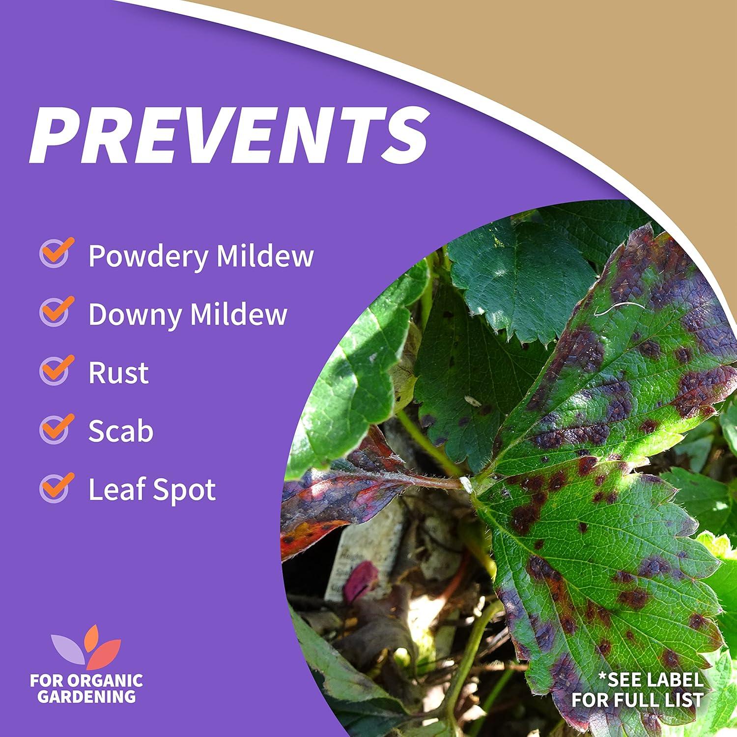 Aceite de Neem Bonide 473 ml - Insecticida y Fungicida Multiusos