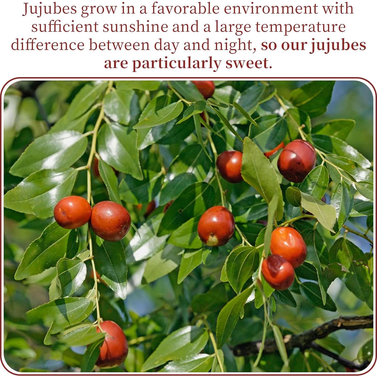 Dátil Rojo Jujube Wanhua Hall 500g Fruta Seca Dulce Natural