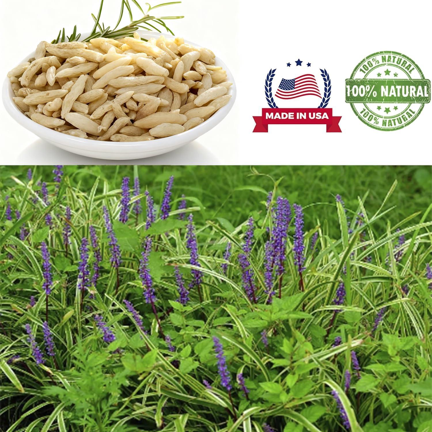 Té Premium Ophiopogon DABC 453g - Hierba China Nutritiva