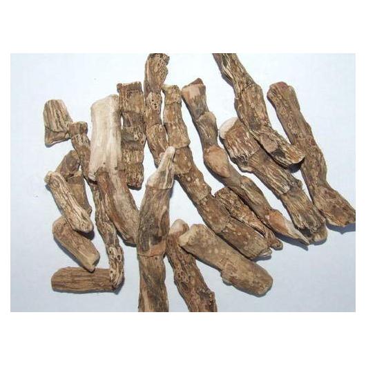 Raíz de Calamus Orgánica Acorus Calamus 708g - Hierbas Ayurvédicas