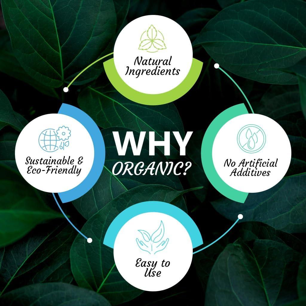 Polvo de Gotu Kola Orgánico Vitamatic 450g - Soporte Cerebral