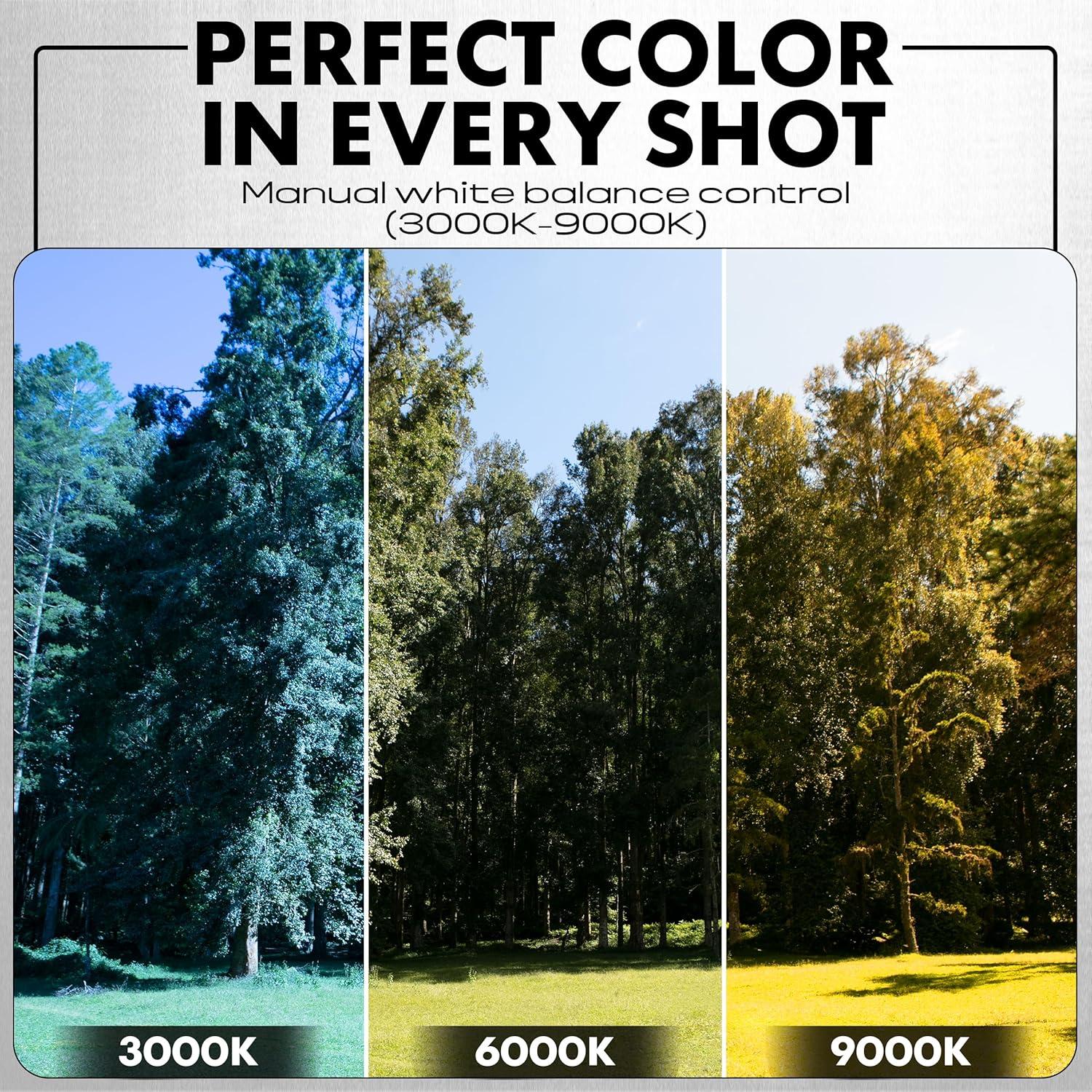 Cámara Minolta 72MP Zoom Óptico 10x Negra MNF10Z-BK