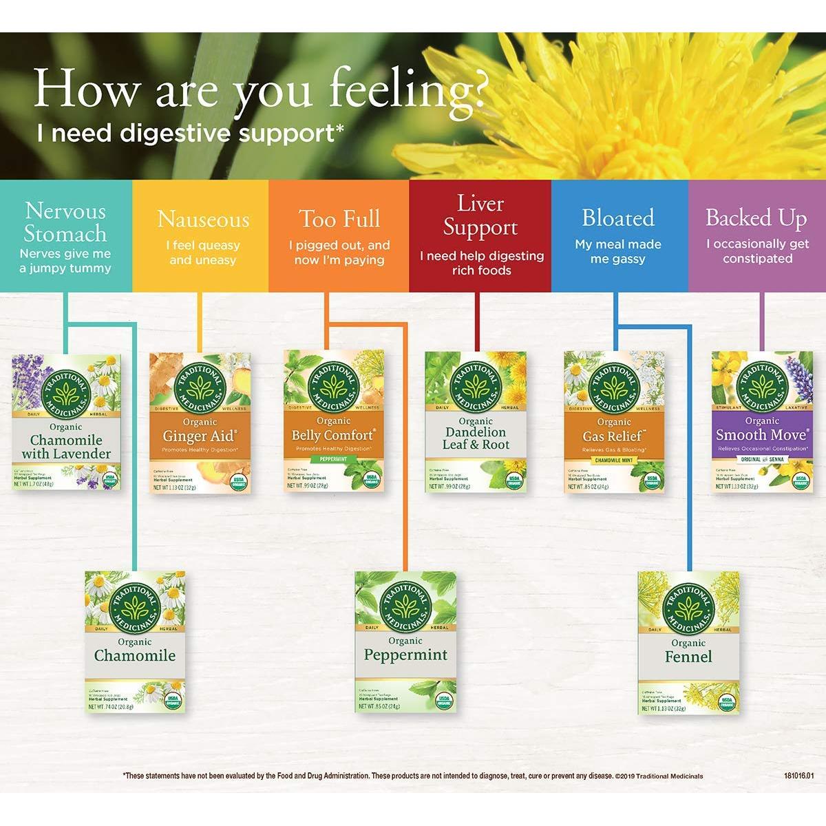 Té de Jengibre Orgánico Medicinales Tradicionales - 48 Bolsitas