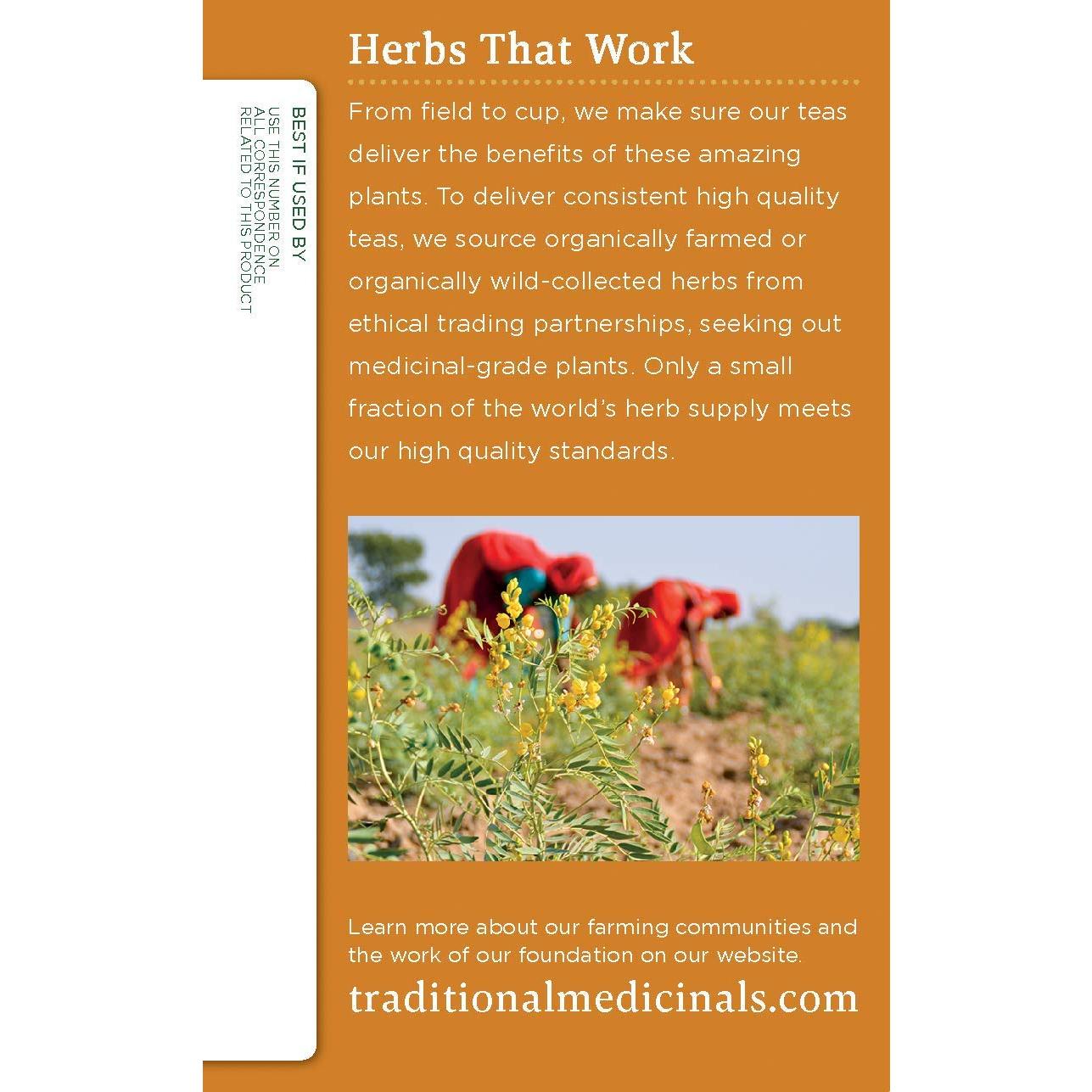 Té de Jengibre Orgánico Medicinales Tradicionales - 48 Bolsitas