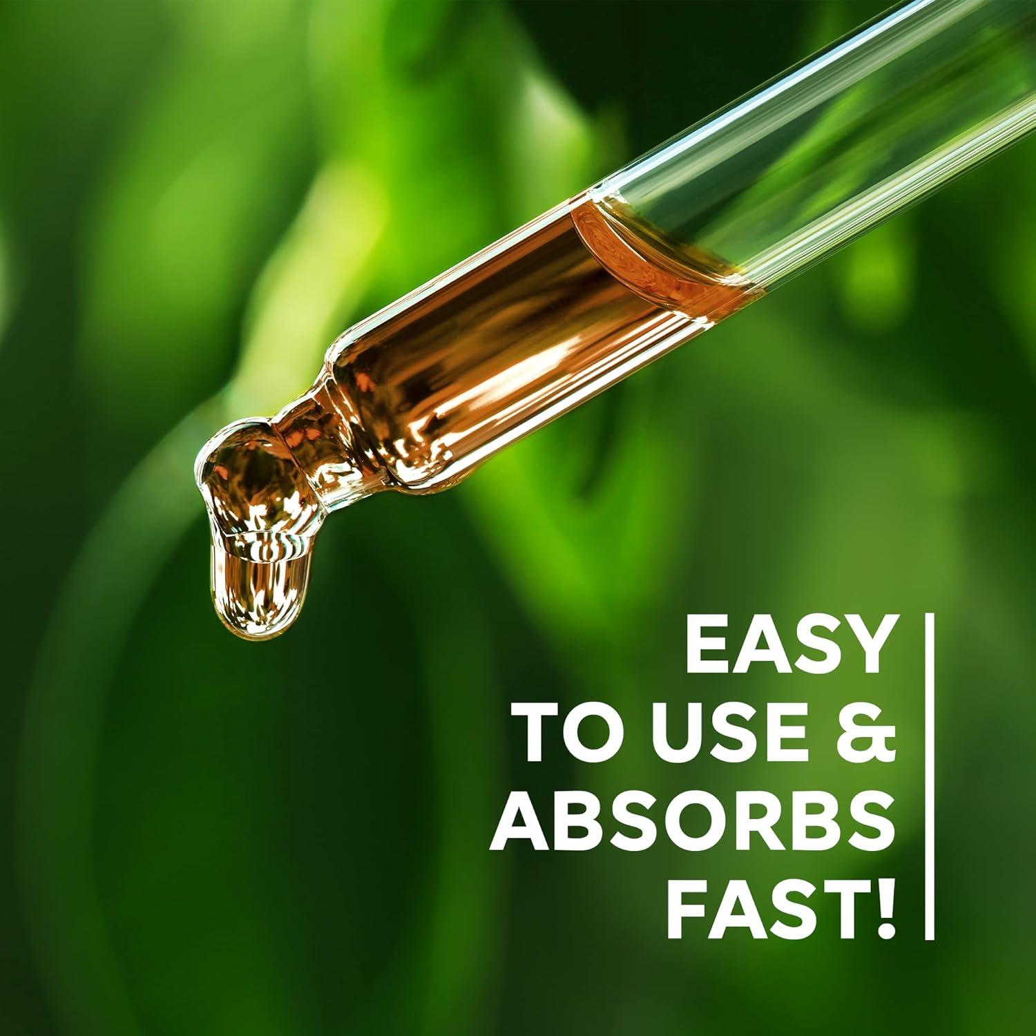 Tintura Orgánica de Gotu Kola Naturaura - 30 Gotas - Apoyo Cognitivo y Memoria