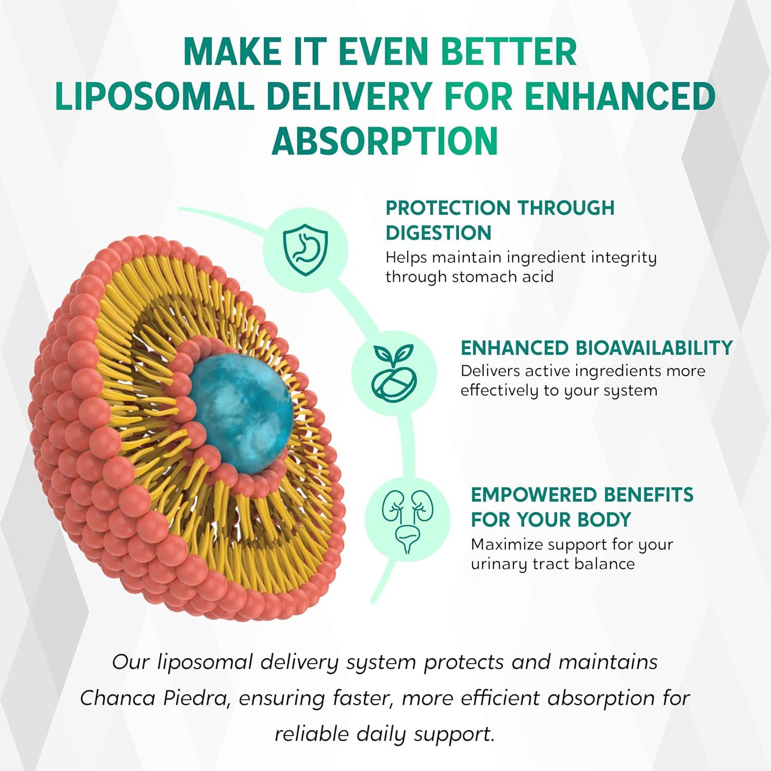 Cápsulas de Chanca Piedra NESSARIT - 150 Unidades - Apoyo Urinario