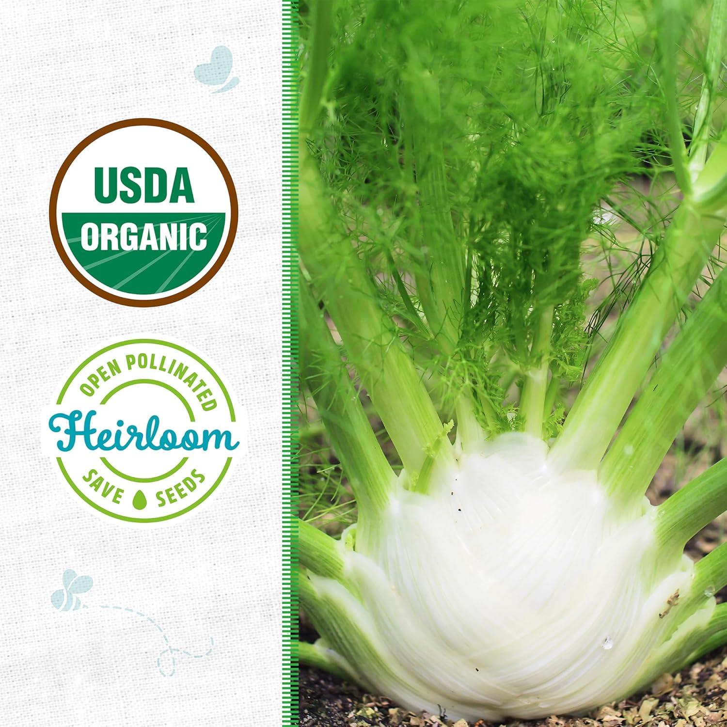 Back to The Roots 100% Organic Seed Packet - Fennel 'Florence' 400mg