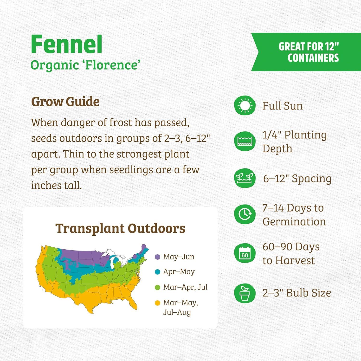 Back to The Roots 100% Organic Seed Packet - Fennel 'Florence' 400mg