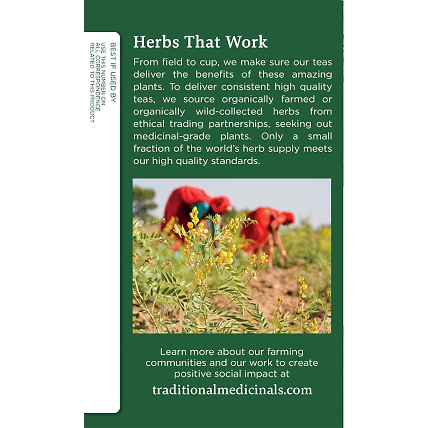 Té de Hinojo Orgánico Medicinales Tradicionales - 32 Bolsitas