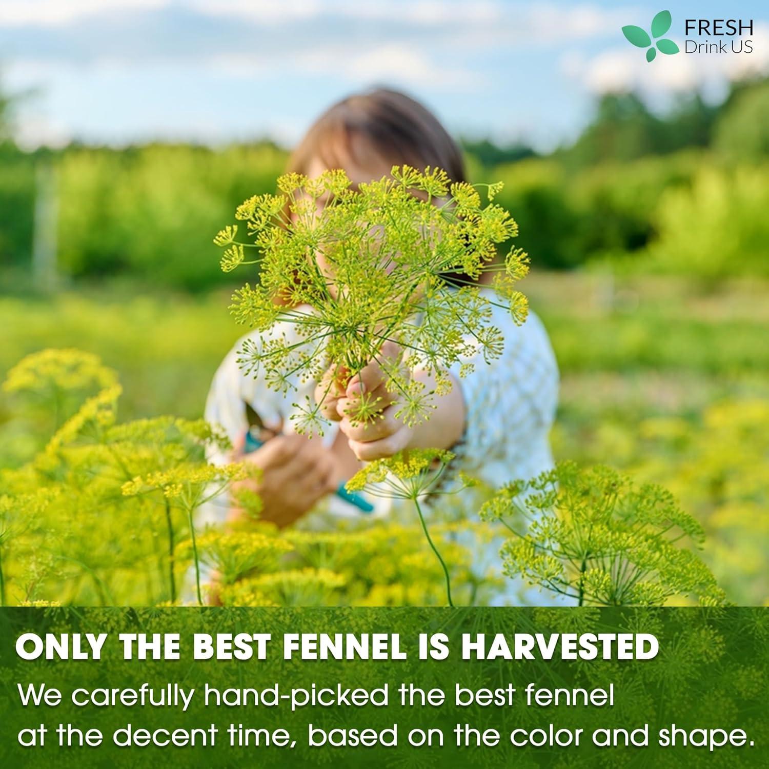 Té de Hinojo FreshDrinkUS 55 Bolsitas 100% Natural Sin Cafeína