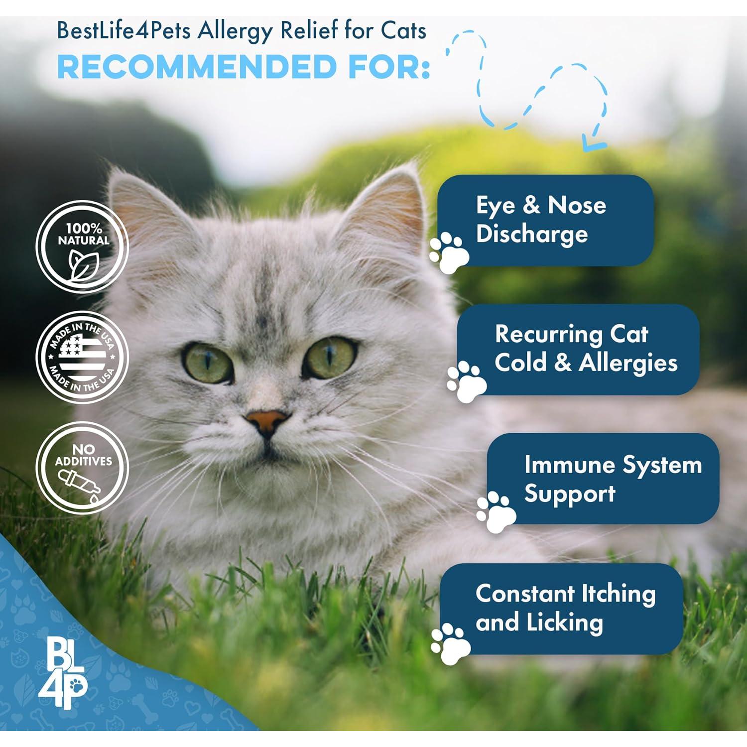 Suplemento Natural para Gatos BestLife4Pets - Alivio Alergias y Soporte Inmunológico - 400 Pastillas