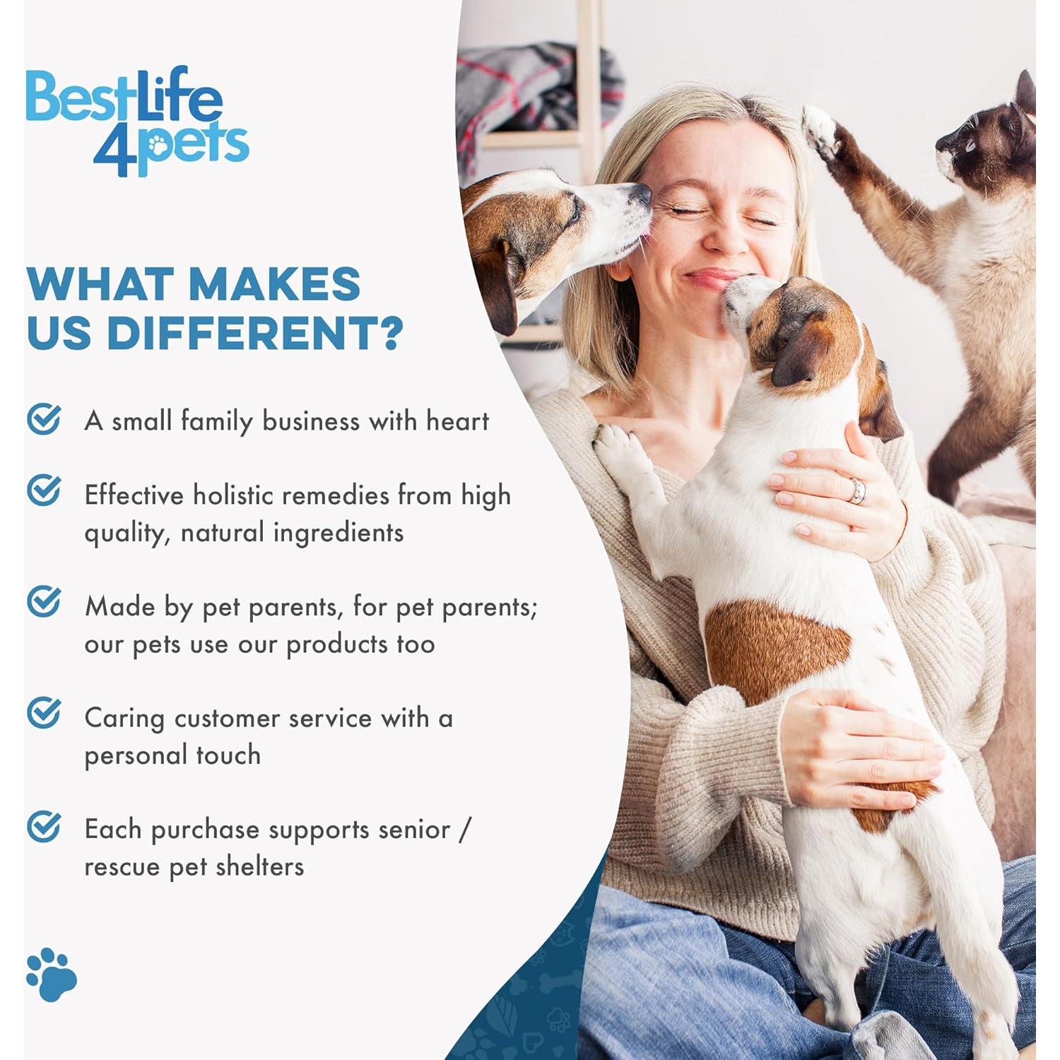 Suplemento Natural para Gatos BestLife4Pets - Alivio Alergias y Soporte Inmunológico - 400 Pastillas