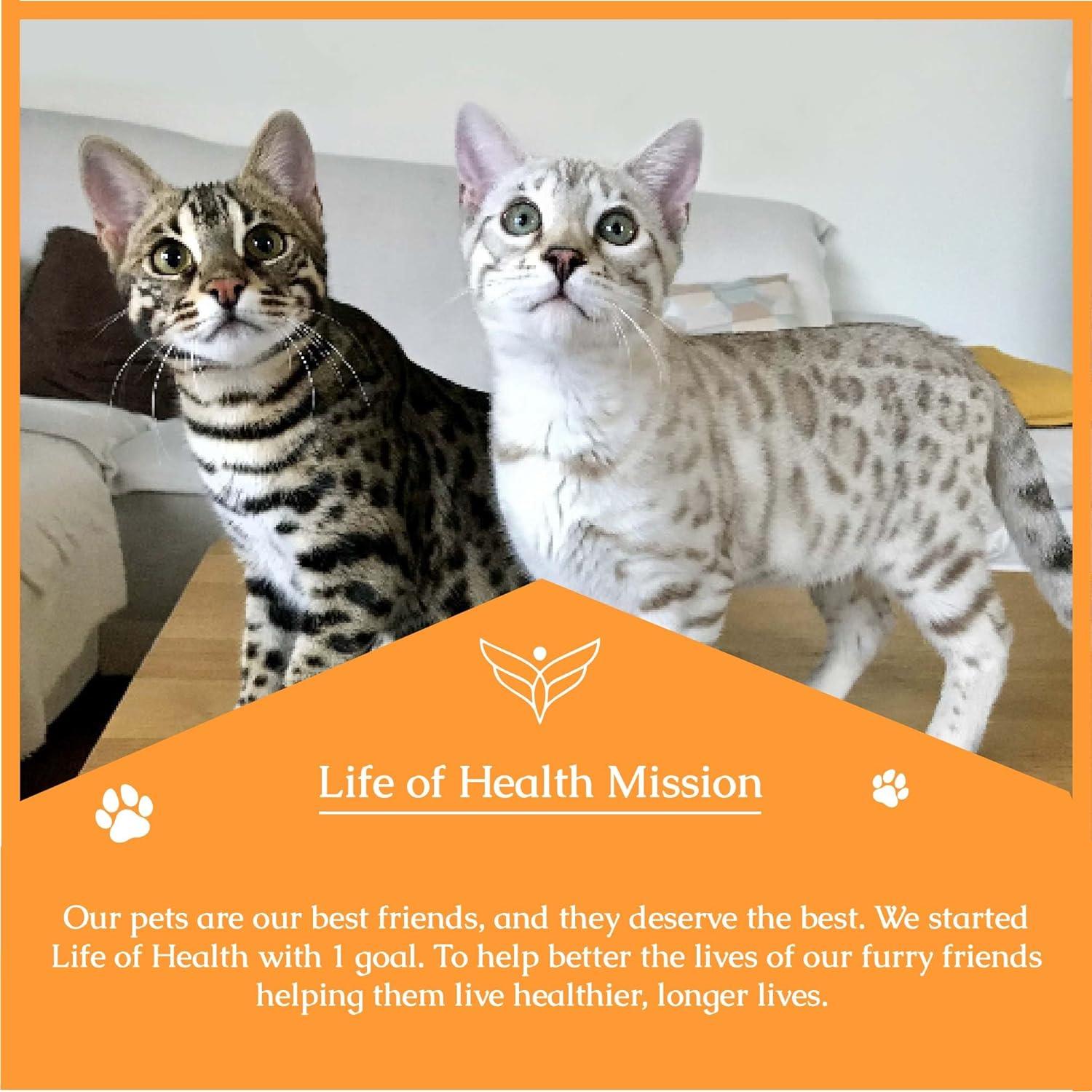 Antibióticos Naturales para Gatos Vida de Salud - 2 Unidades