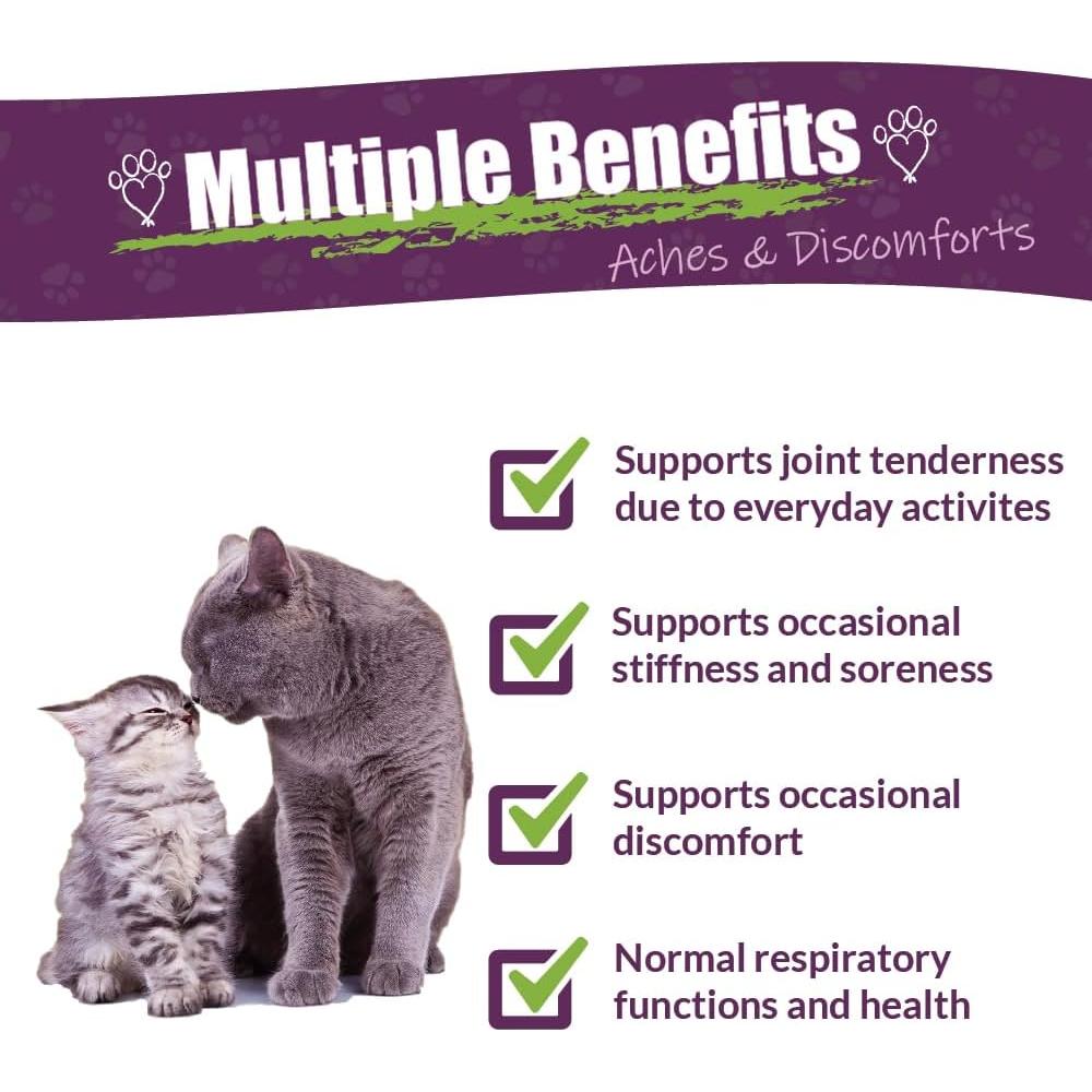 Suplemento Herbal Adizone C Amber NaturalZ para Gatos 28g