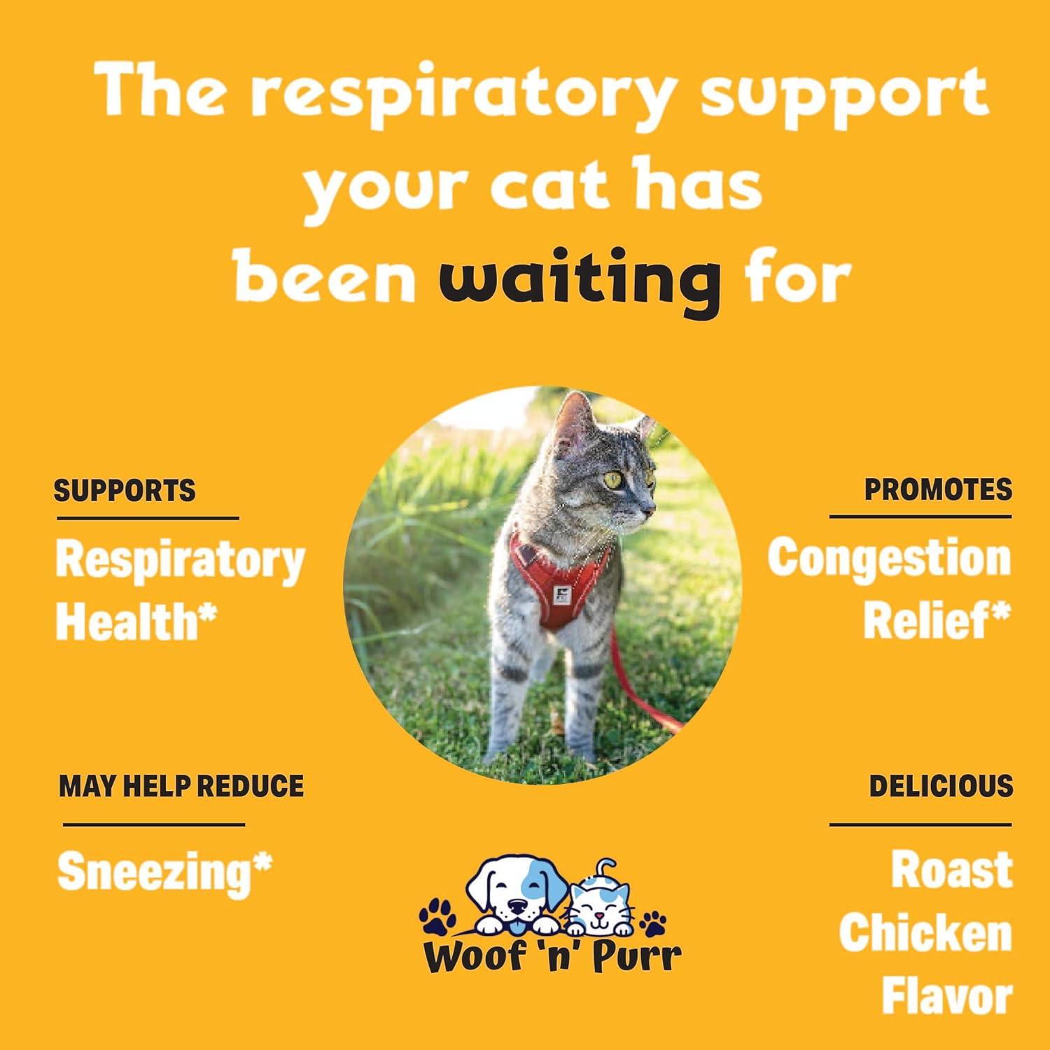 L-Lisina líquida para gatos Olympus 29.57 ml - Alivio respiratorio