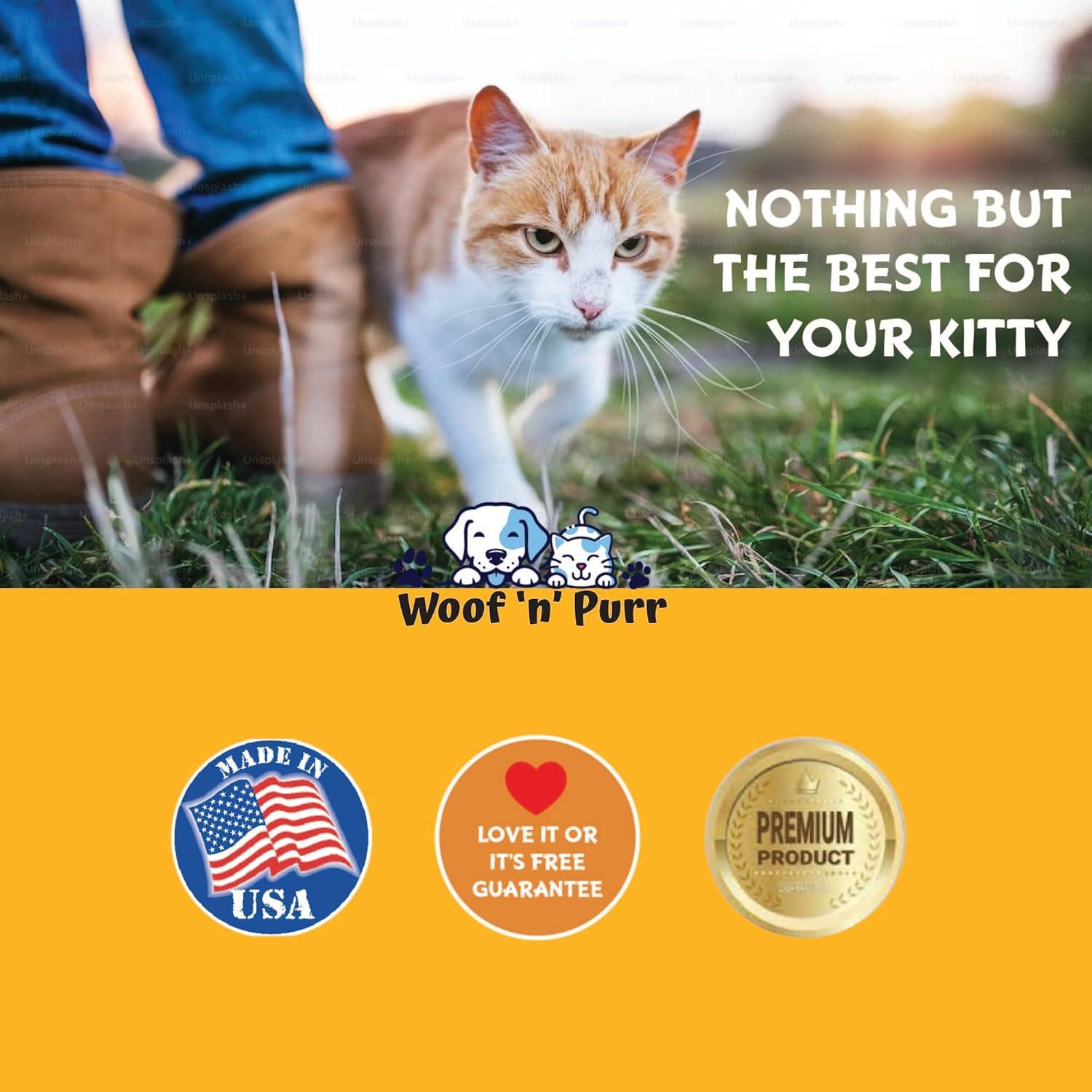 L-Lisina líquida para gatos Olympus 29.57 ml - Alivio respiratorio