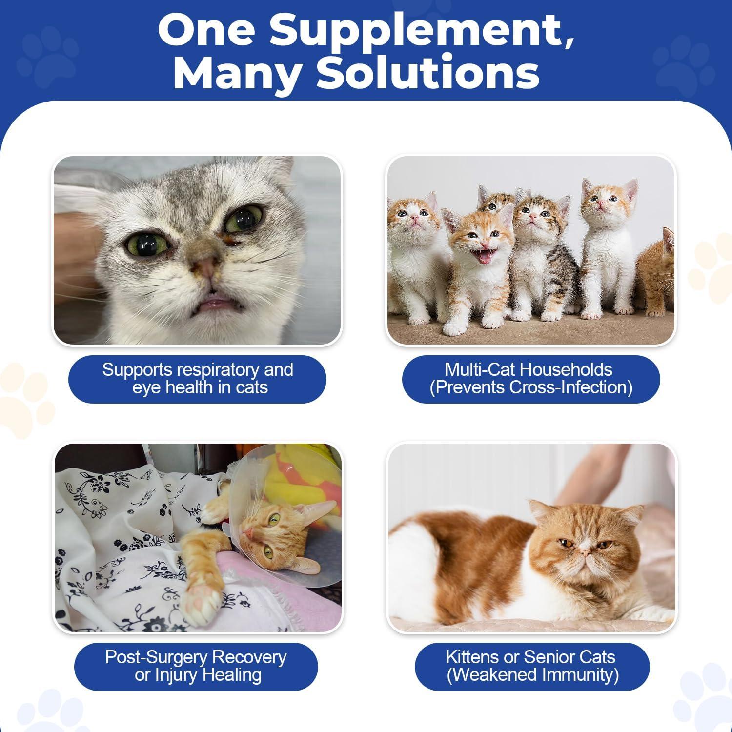 Suplemento L-Lisina para Gatos Ninibabie 104.9g Gel Oral Sabor Pollo