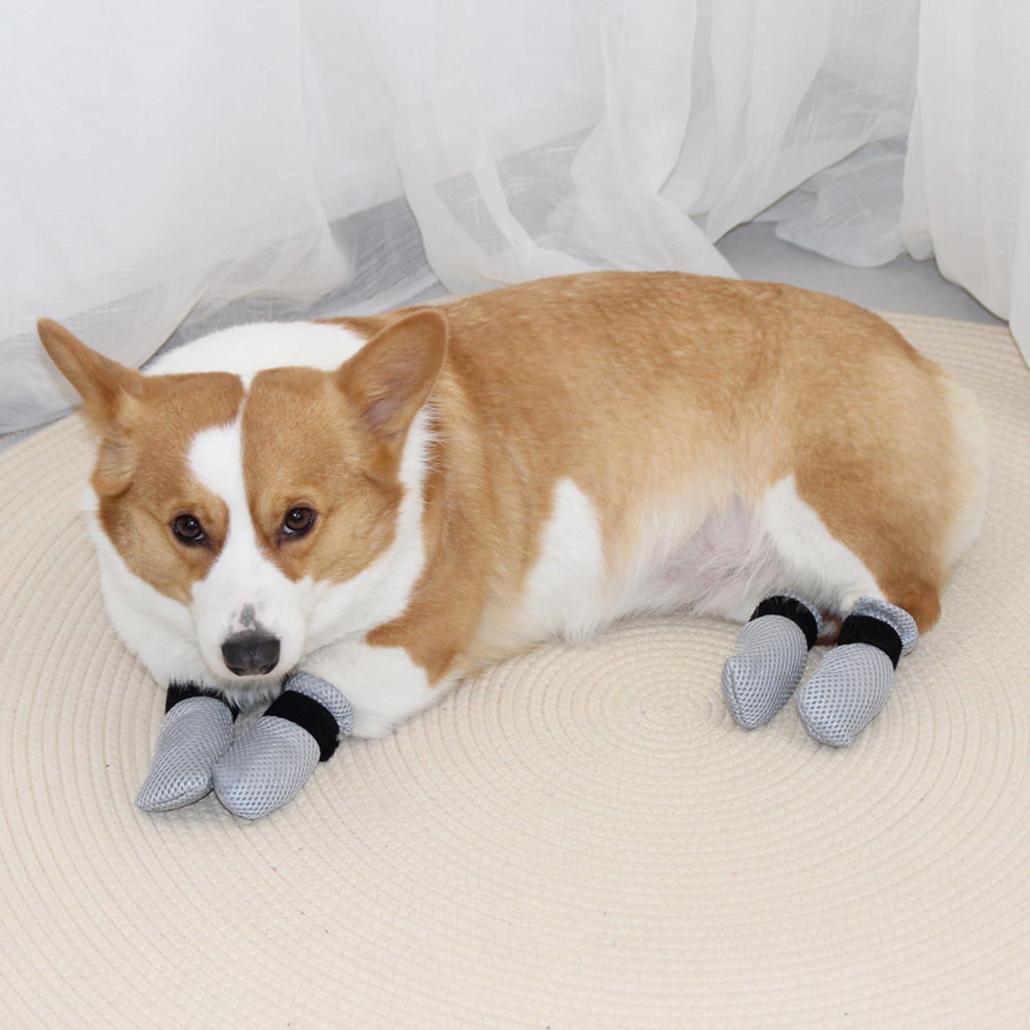 Botas Antirrasguños para Gatos HDKUW - Gris XL Ajustables