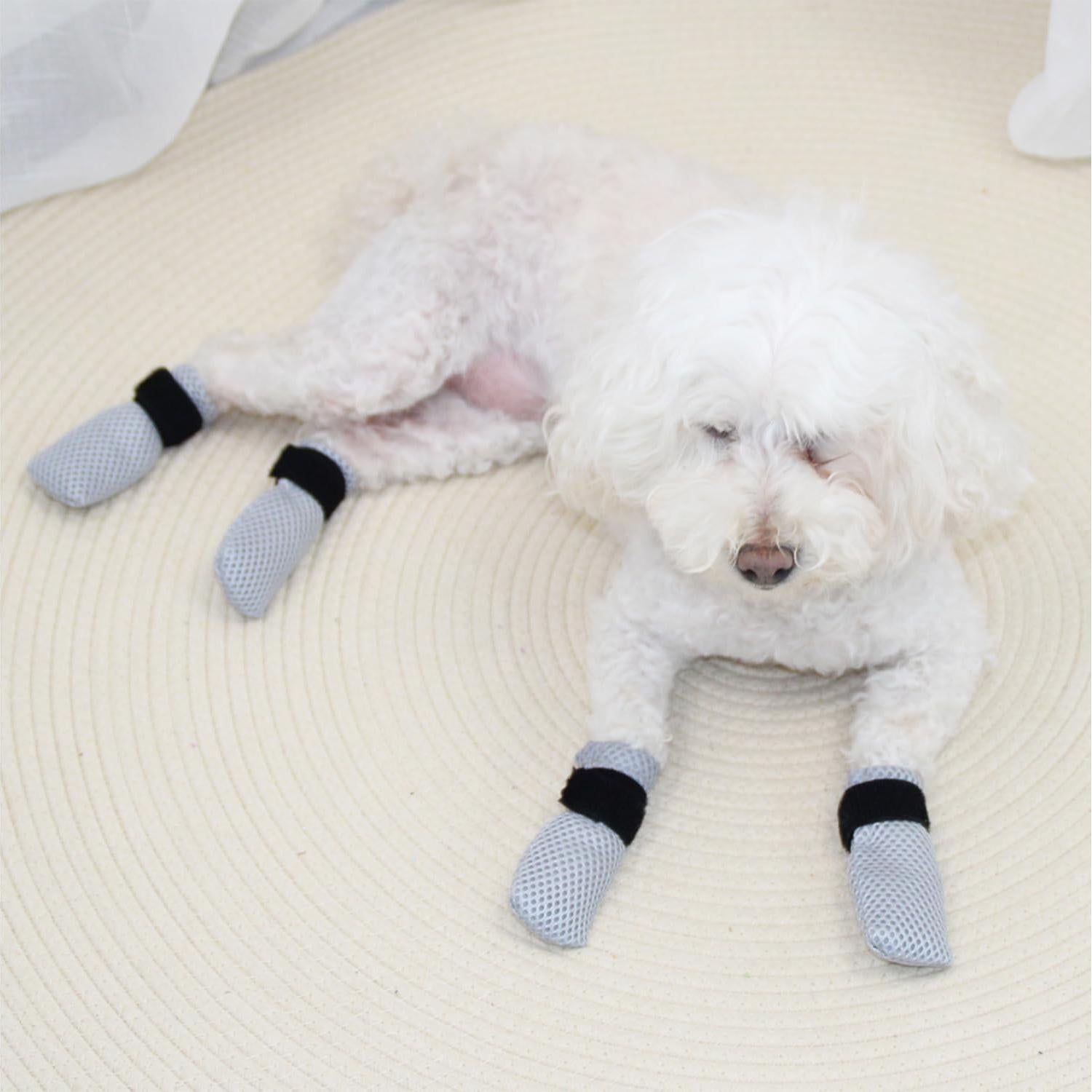 Botas Antirrasguños para Gatos HDKUW - Gris XL Ajustables