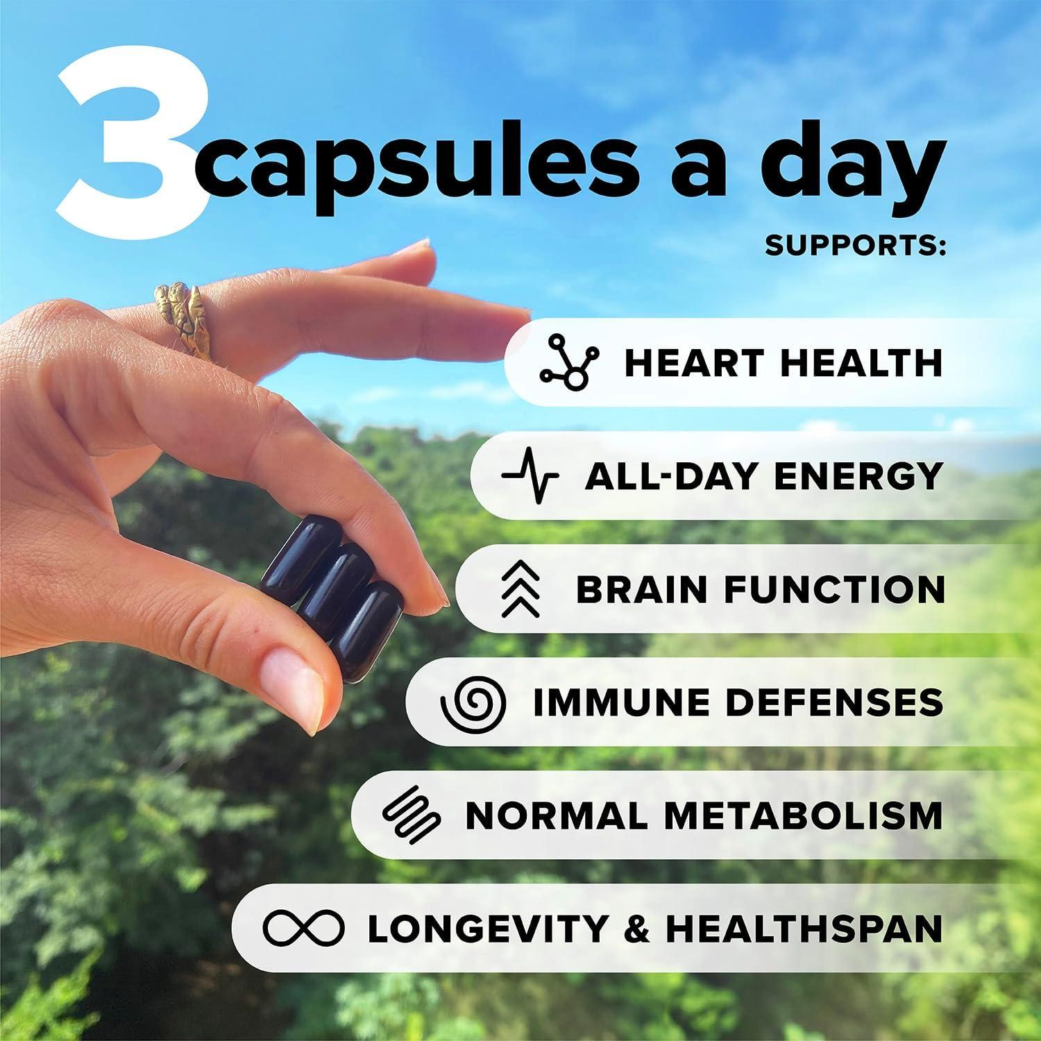 Multivitamínico Vegano Completo Complemento 180 Cápsulas