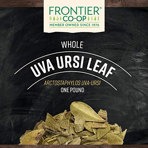 Hoja de Uva Ursi Entera Frontier Co-op 453g - Té Herbal