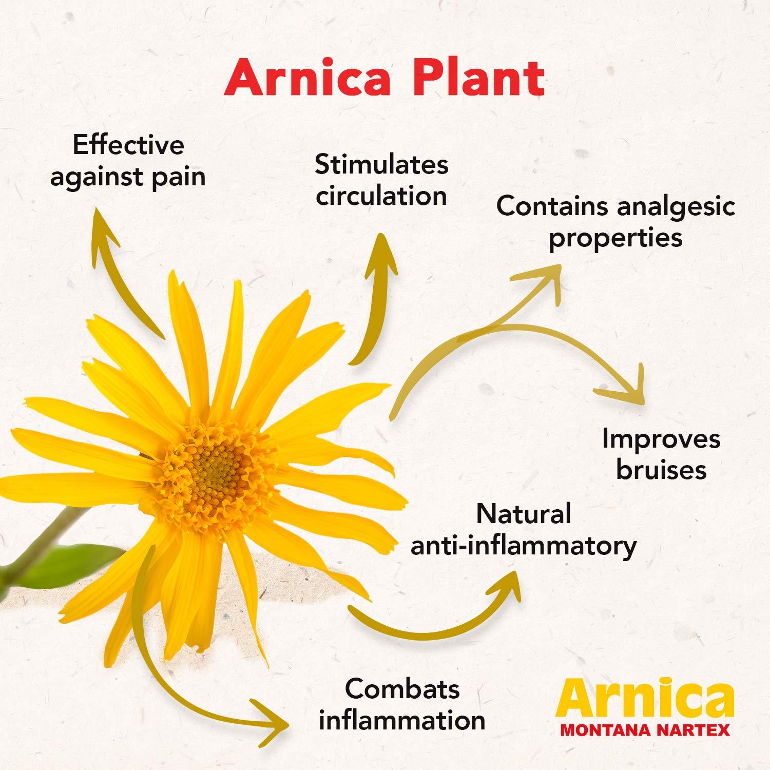 Ungüento de Árnica Montana Nartex 27.7g - Alivio Muscular