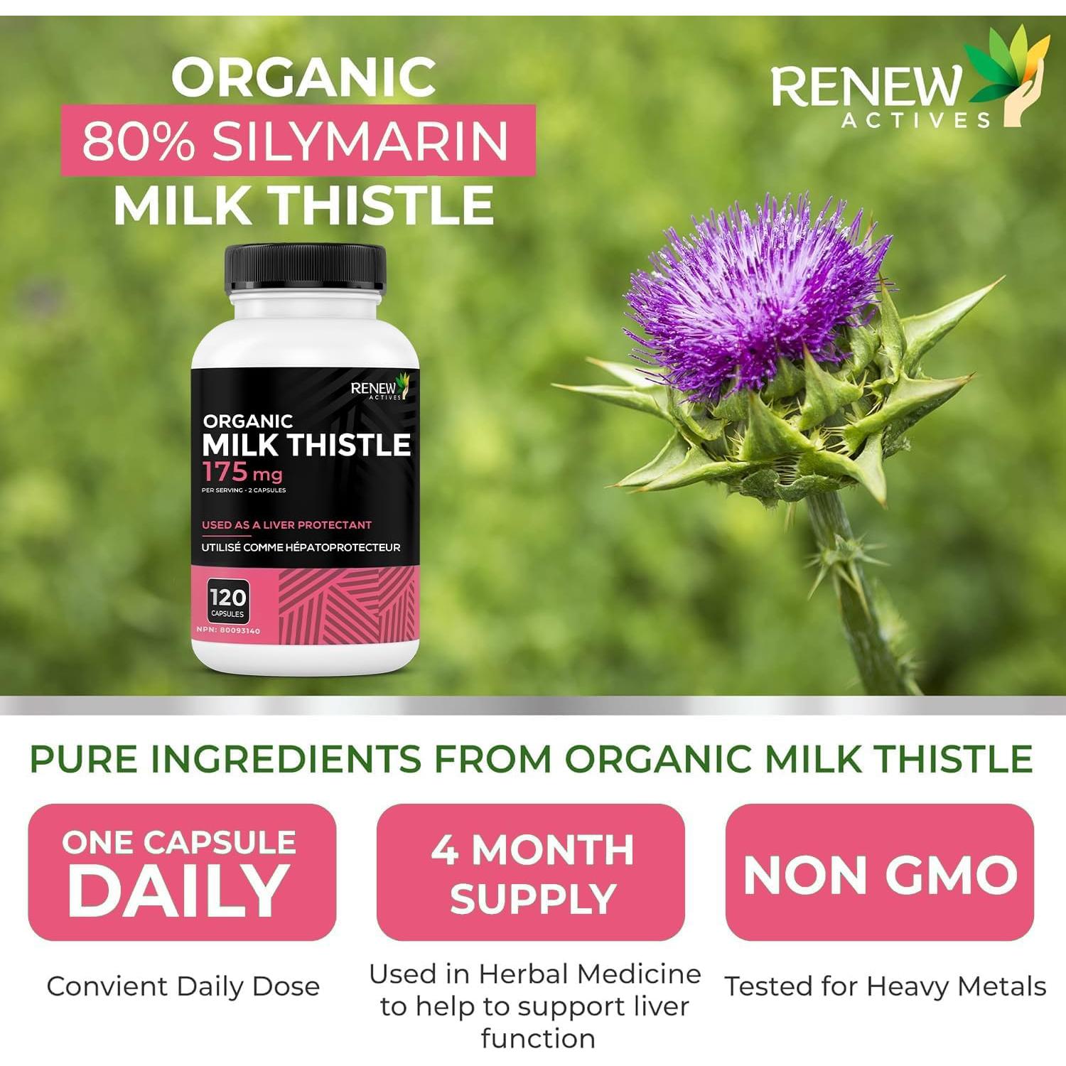 Cápsulas de Cardo Mariano Renew Actives 175mg - 120 Unidades