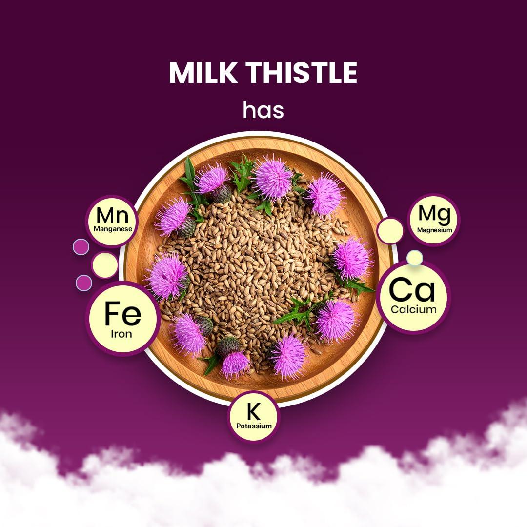 Té de Cardo Mariano Redplum - 10 Bolsas - Sin Cafeína
