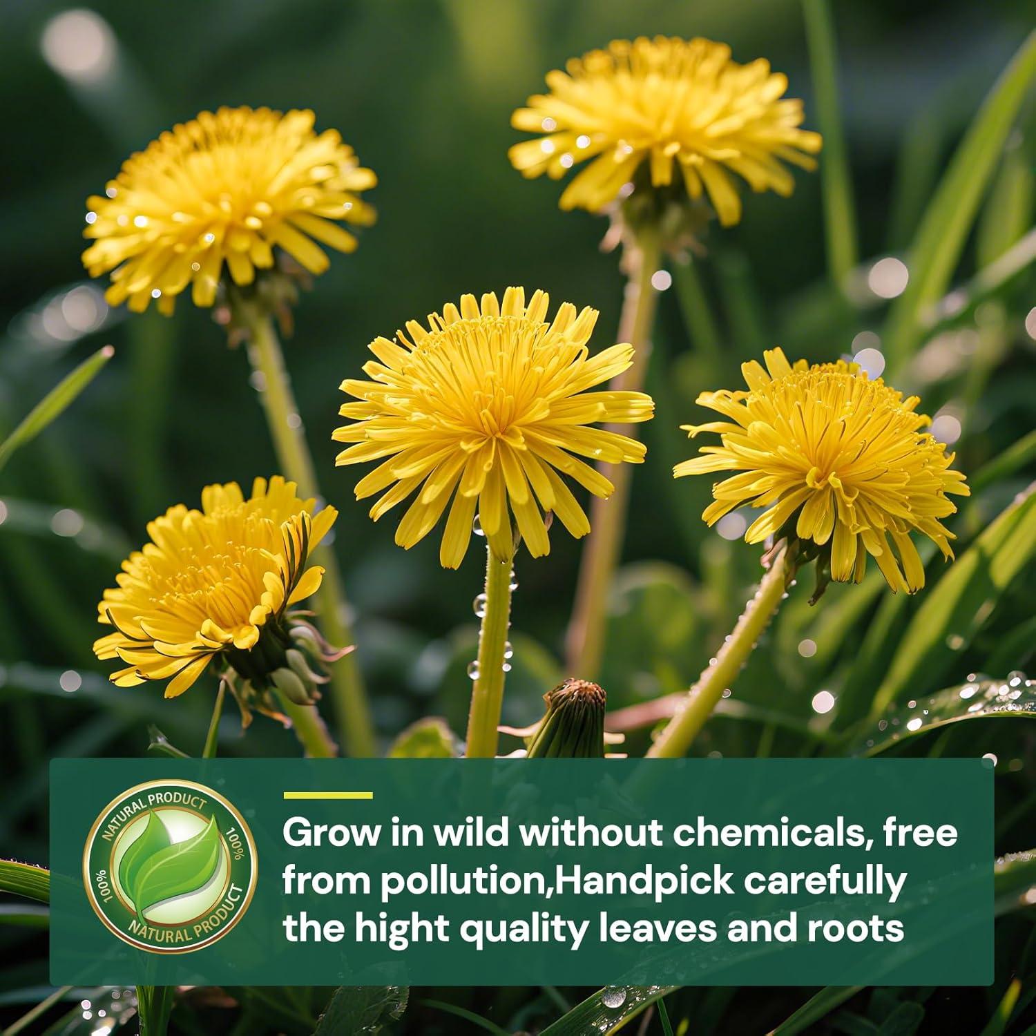 Té Herbal Diente de León Solisleaf 50 Bolsitas 108g