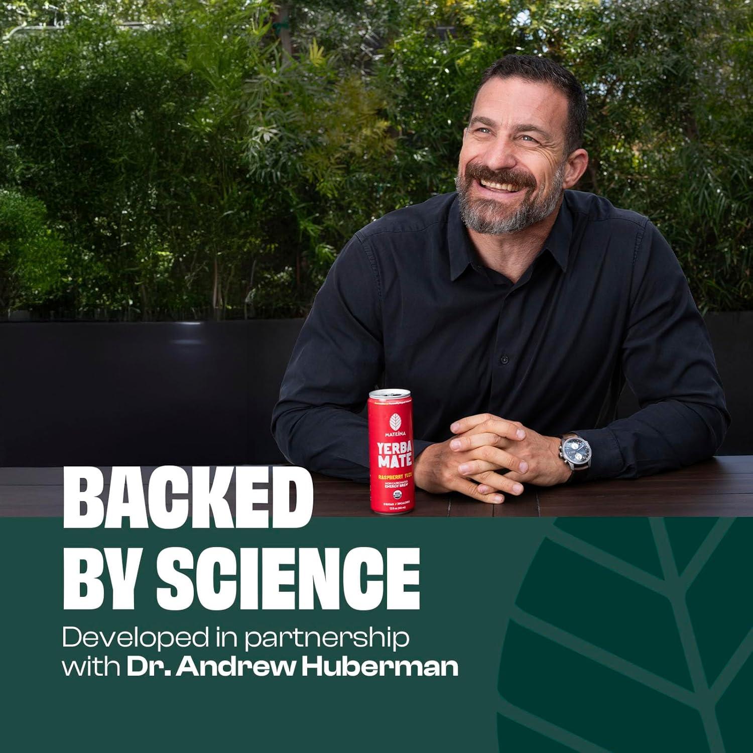 Mateina Yerba Mate Energética Orgánica Sin Azúcar - 12 Latas 355ml