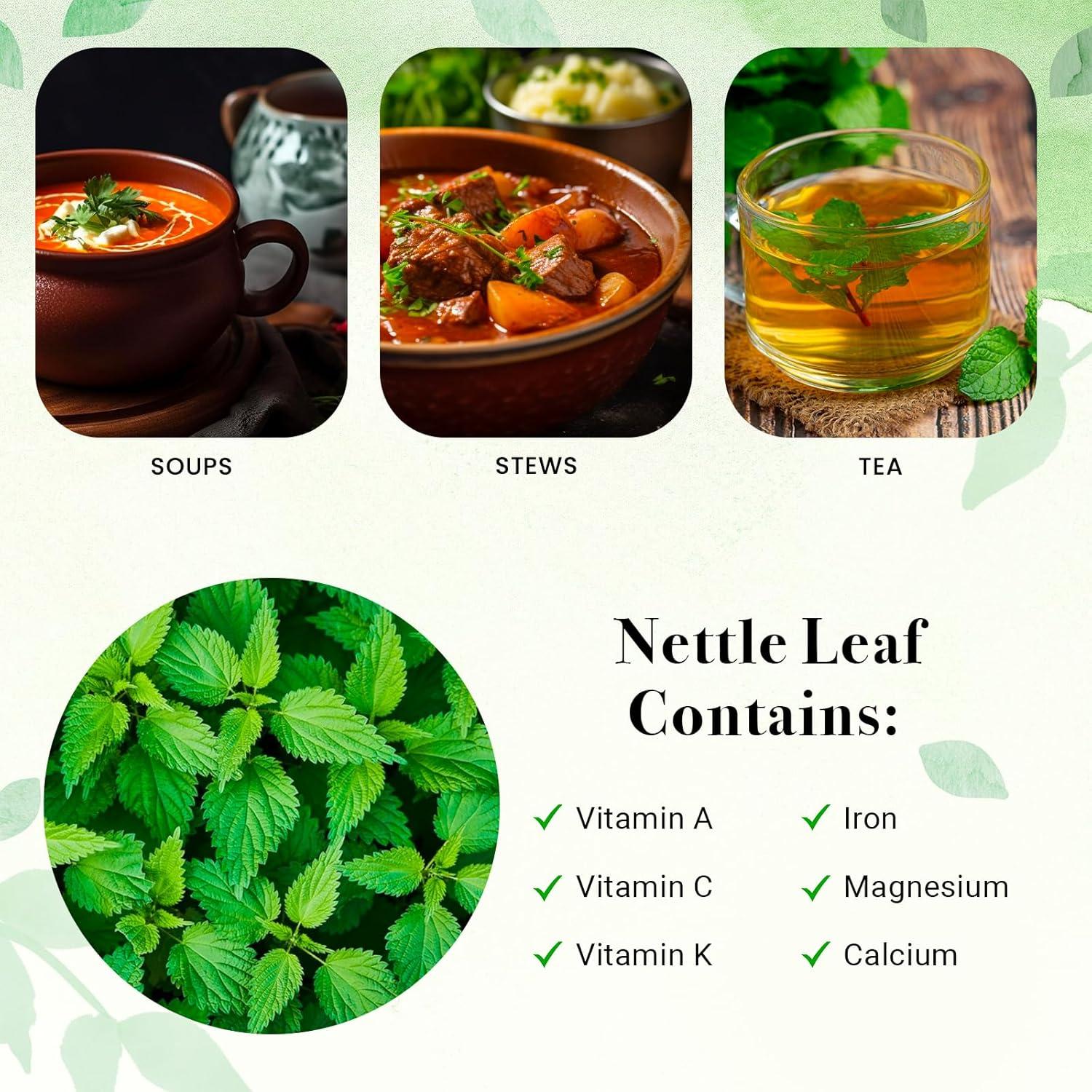 Hojas de Ortiga Secas 0.45 kg Yogi's Gift | Cortadas y Tamizadas