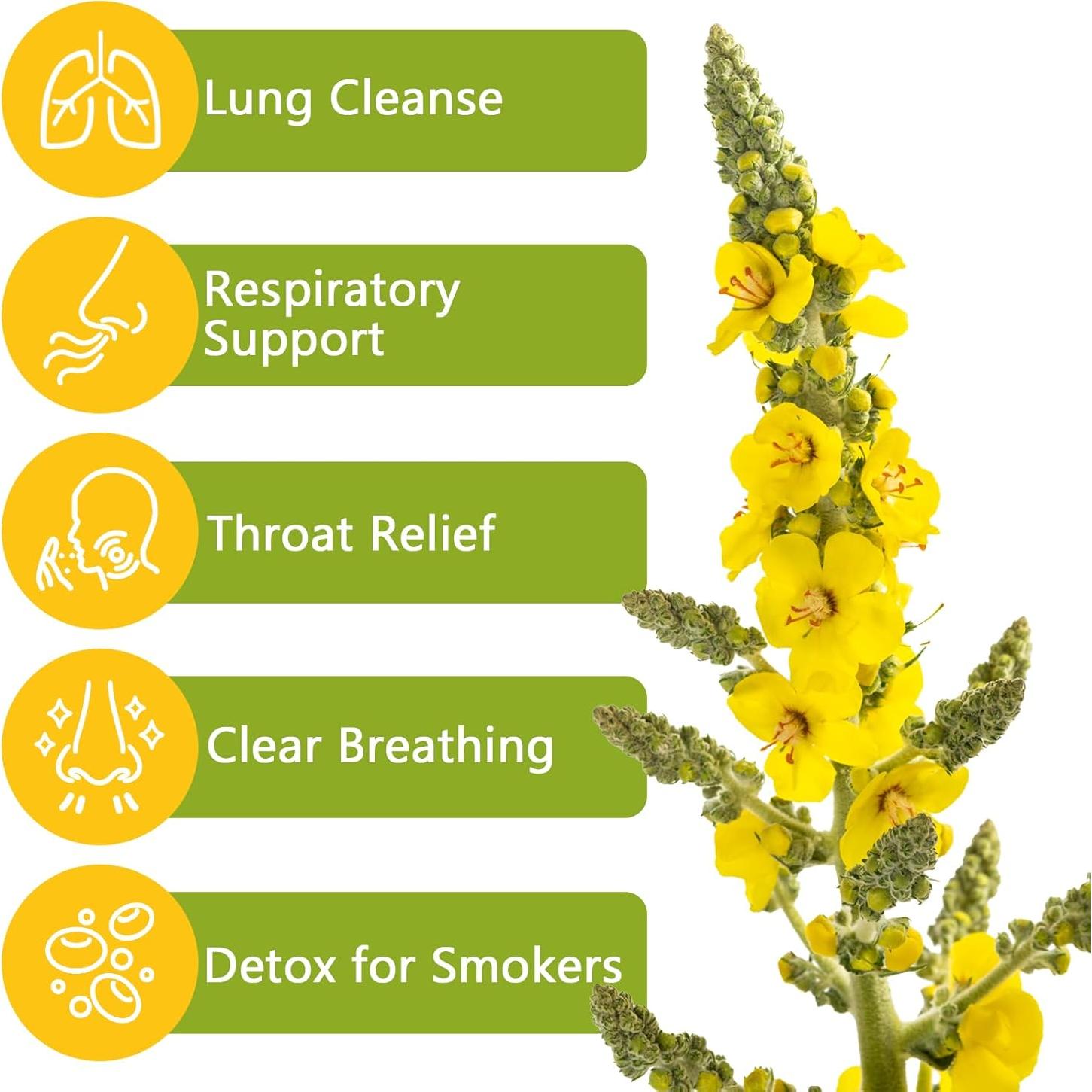 50 Bolsitas de Té de Hoja de Mullein Orgánico - Detox Pulmones