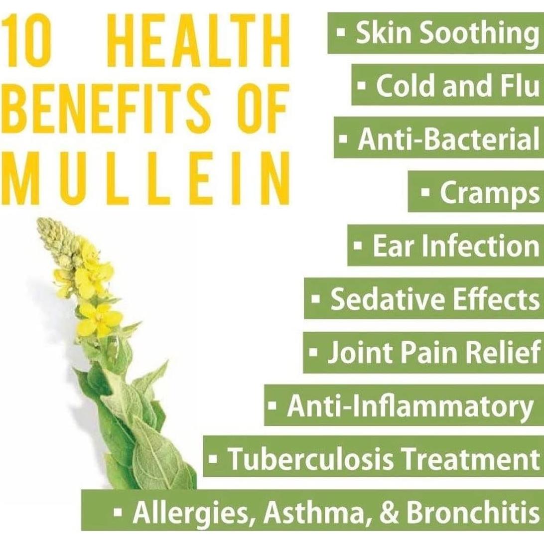 Té de Hoja de Mullein Undelio 454g - Soporte Respiratorio Orgánico