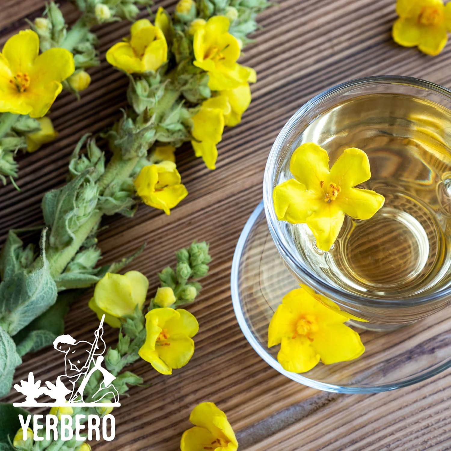 Yerbero Gordolobo en Polvo Premium 142g - Sin Aditivos