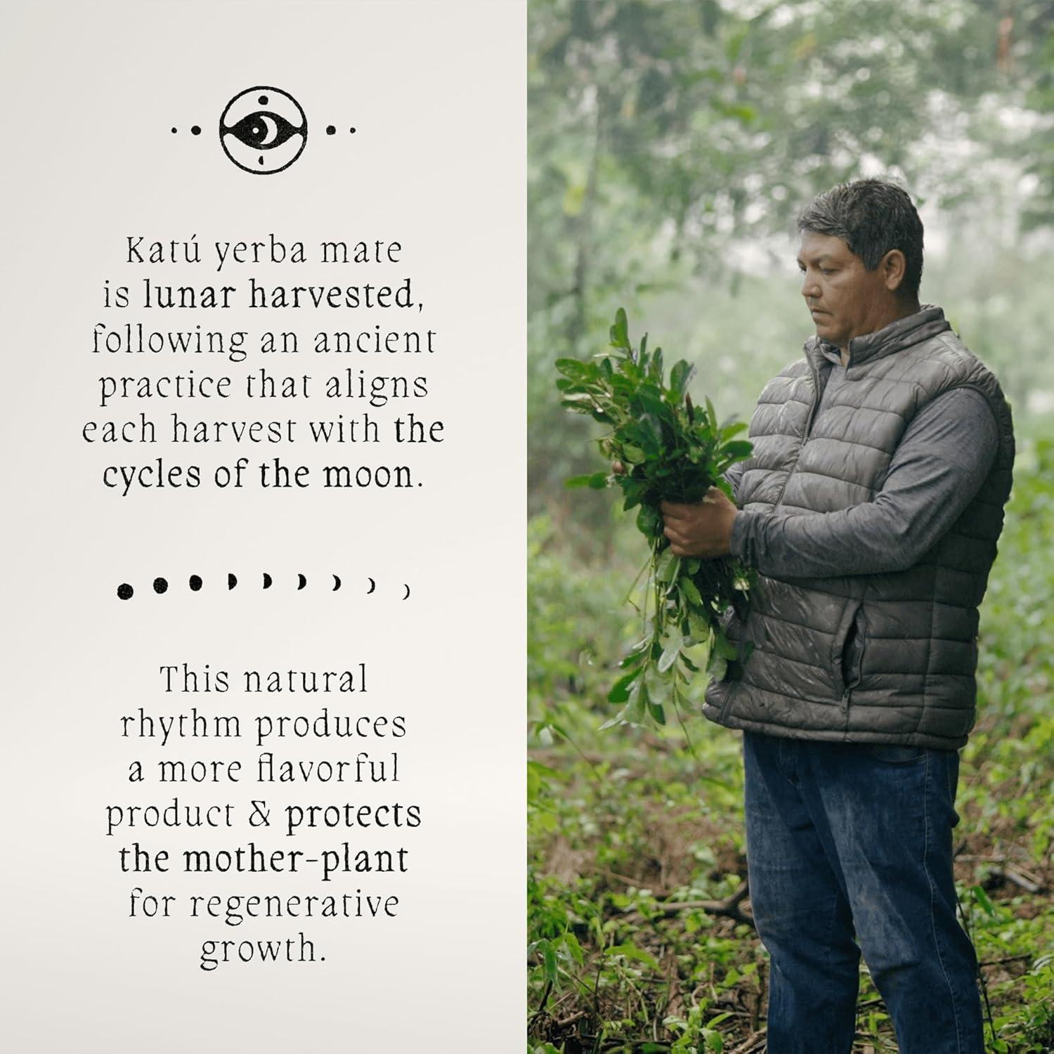 Té de Yerba Mate Crudo Orgánico Premium Katú Ka'a - 15 Bolsitas