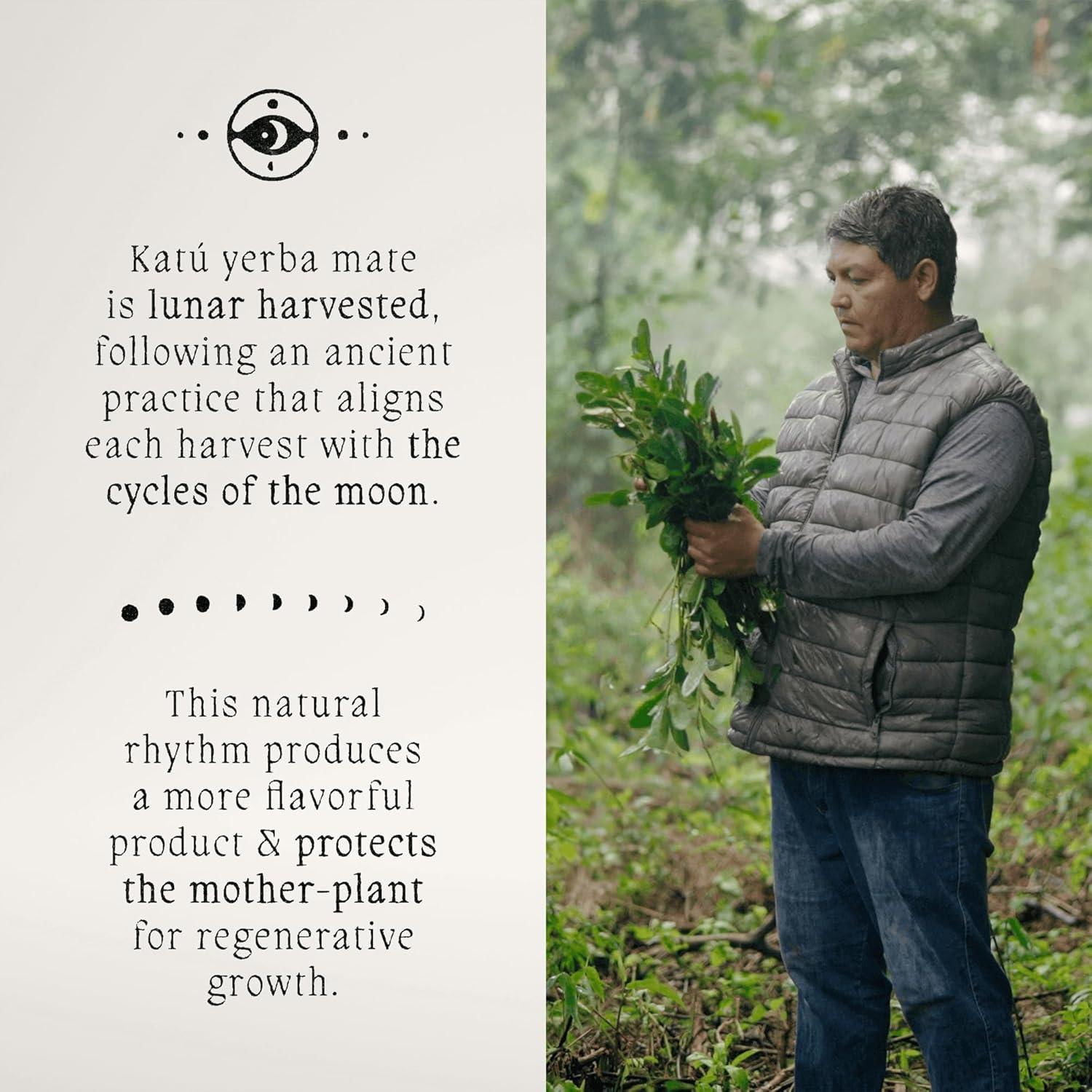 Té de Yerba Mate Orgánico Kojoi Premium 500g - Tostado Lento