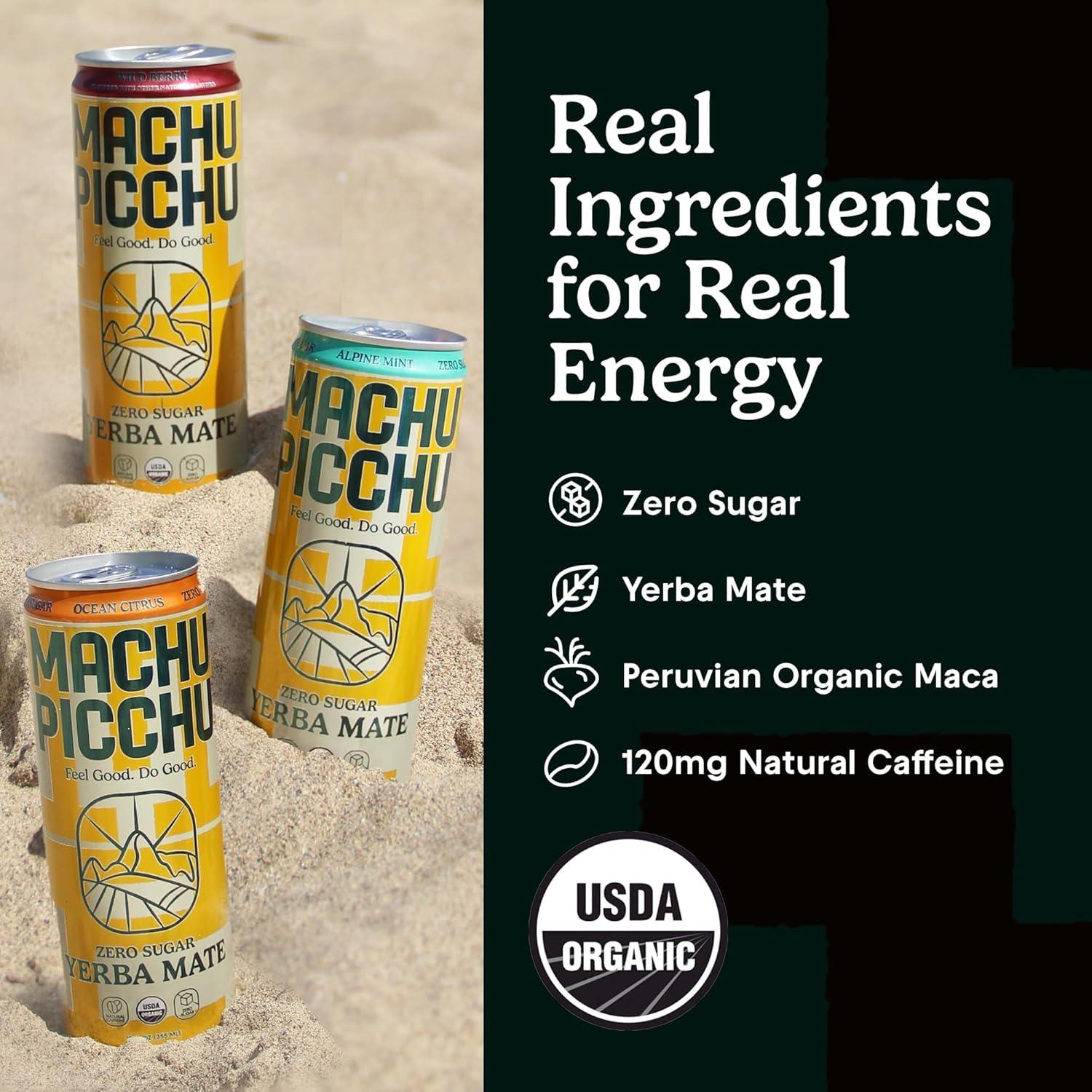 Bebida Energética Machu Picchu de Yerba Mate 355ml - Menta Alpina
