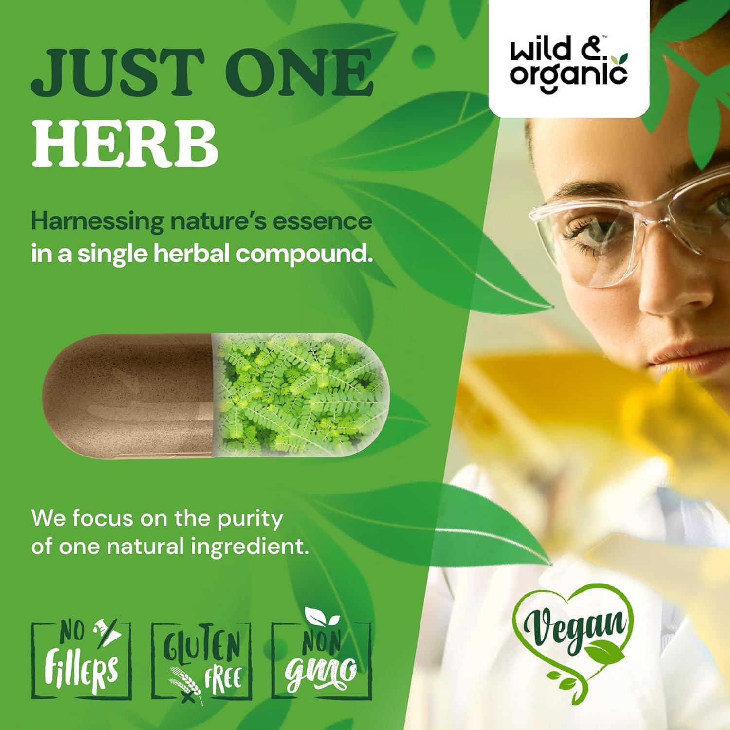 Cápsulas de Chanca Piedra Silvestre 1200 mg - 90 Unidades - Vegano