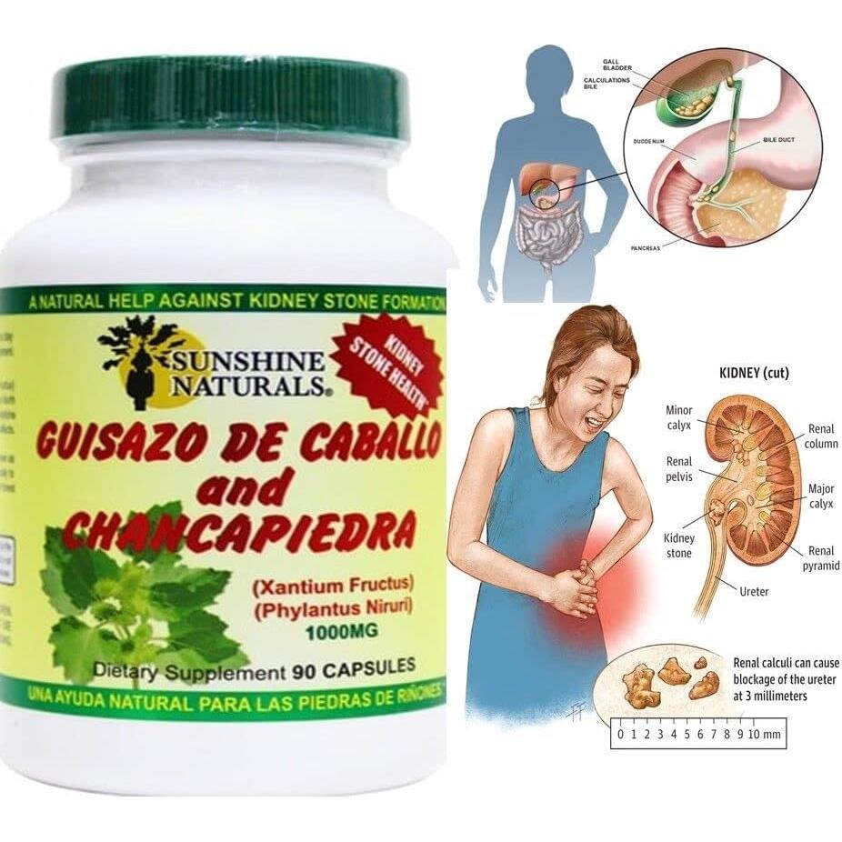 Suplemento Chancapiedra Sunshine 90 Cápsulas - Salud Renal