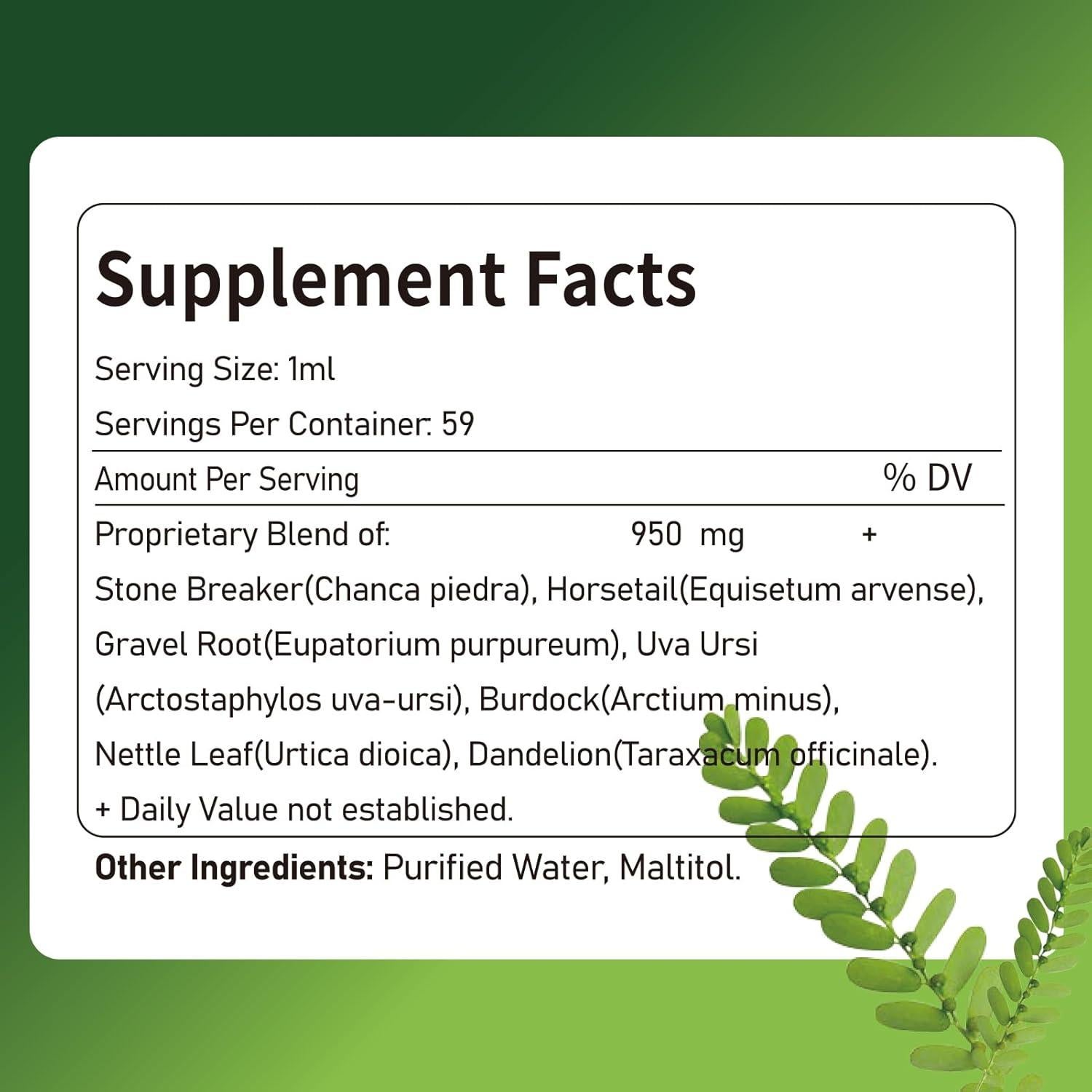 Extracto de Chanca Piedra Ecolinia 60 ml - Suplemento Detox