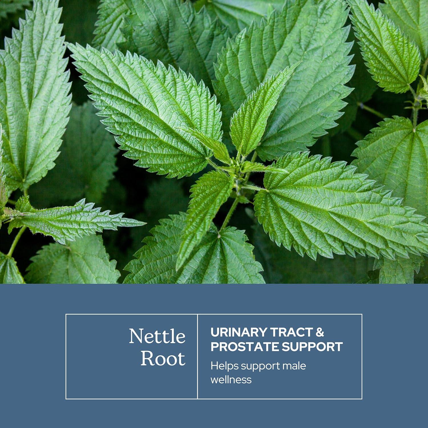 Cápsulas de Ortiga Cruda Liofilizada Eclectic Institute 90 CT