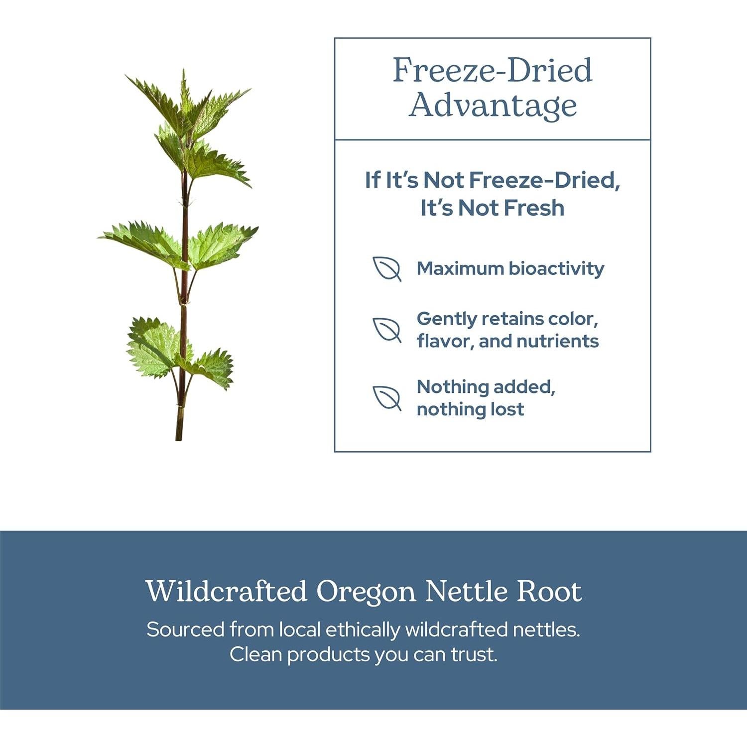 Cápsulas de Ortiga Cruda Liofilizada Eclectic Institute 90 CT