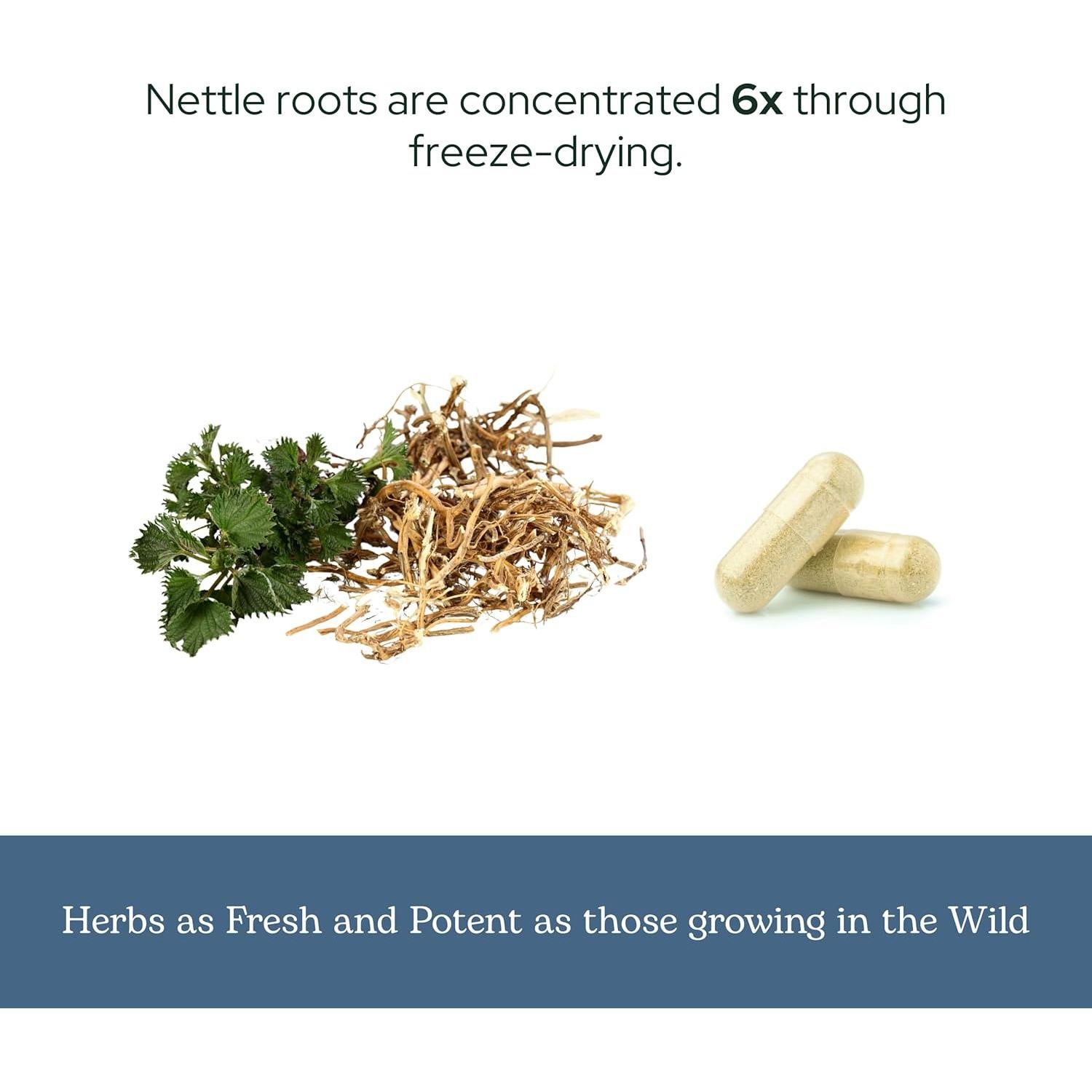 Cápsulas de Ortiga Cruda Liofilizada Eclectic Institute 90 CT