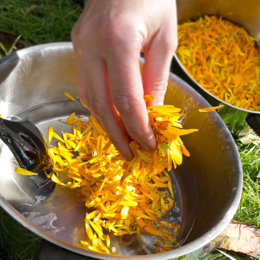 Bálsamo Reparador de Piel SSF Orgánico de Caléndula 56.7 g