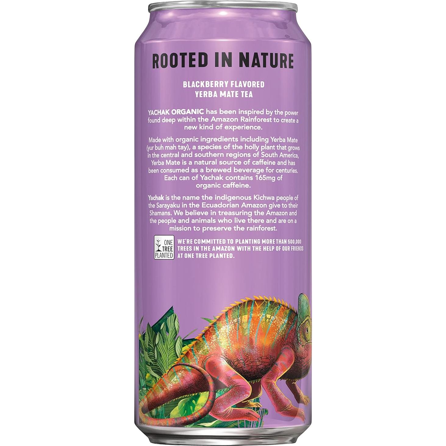 Bebida de Yerba Mate Orgánica Yachak Sabor Mora - 12 Latas 473ml